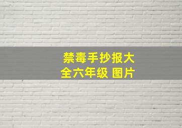 禁毒手抄报大全六年级 图片